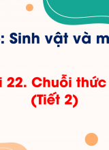 Chủ đề 6 - Bài 22 Chuỗi thức ăn (Tiết 2)